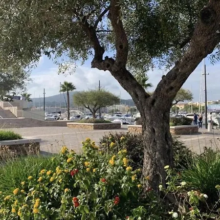 Apartment Lumineux A 30m De La Plage, Balcon, Clim, Commerces A Cote - Fr-1-226-444 Sainte-Maxime
